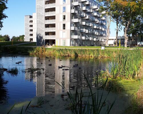 2-værelses studiebolig i Idrætsbyen