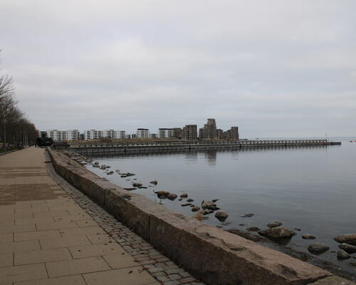 4 værelses lejlighed i København Ø