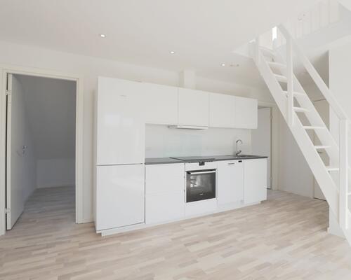 Lækker ny taglejlighed med god udsigt og altan - husdyr tilladt