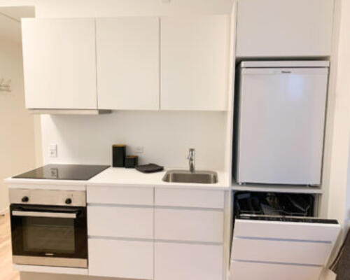 Lækker møbleret 2-værelses lejlighed tæt på universitetet