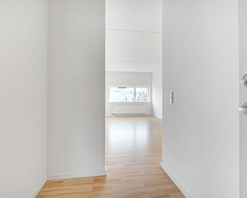 2 værelses lejlighed i København S