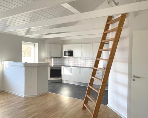 2 værelses hus i Odense S