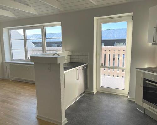 2 værelses hus i Odense S