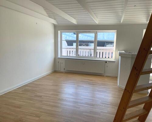 2 værelses hus i Odense S