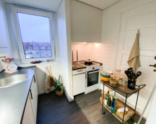 Hyggelig 2-værelses lejlighed med udsigt til Østre Anlæg