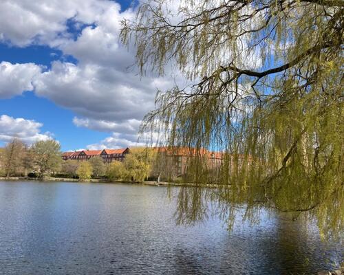 Hyggelig 2-værelses lejlighed med udsigt til Østre Anlæg