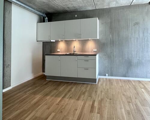 2 værelses lejlighed i Odense C