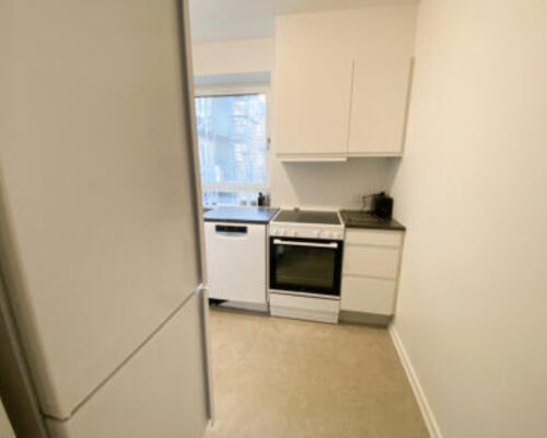 Stor 2-værelses lejlighed i øgadekvarteret