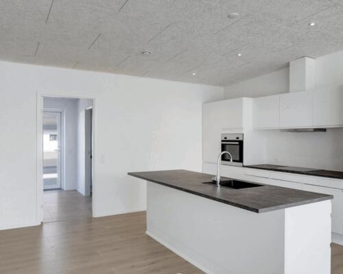 Nybygget rækkehus i 1 plan