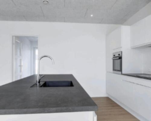 Nybygget rækkehus i 1 plan