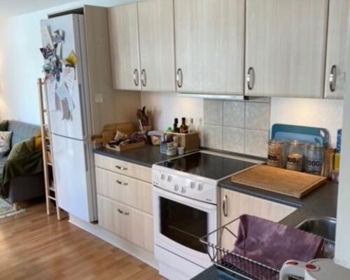 Lille hyggelig 2-værelses lejlighed