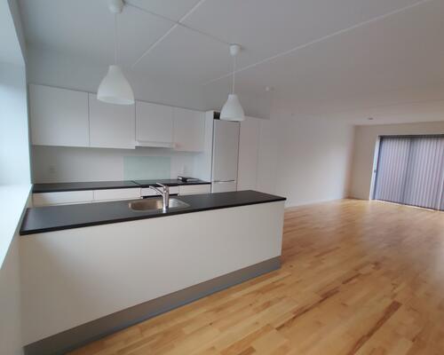 4 værelses hus i Taastrup