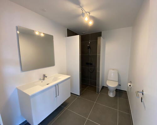 4 værelses hus i Ringe