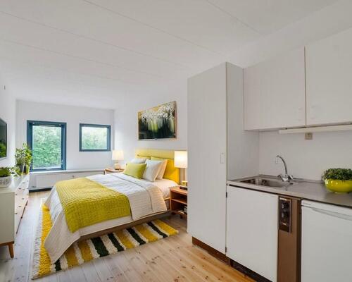 Overskuelig 1 værelses lejlighed