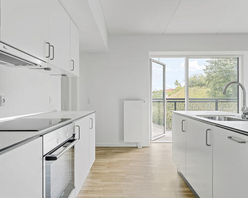 Stor 2-værelses tæt på Riis Skov