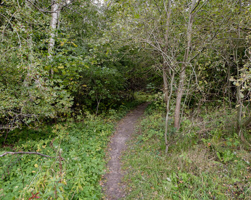 3 værelses lejlighed i Hillerød