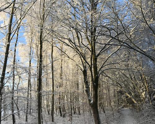 3 værelses hus i Them