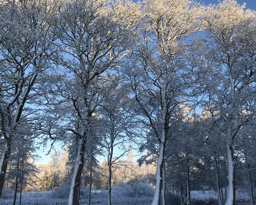 3 værelses hus i Them