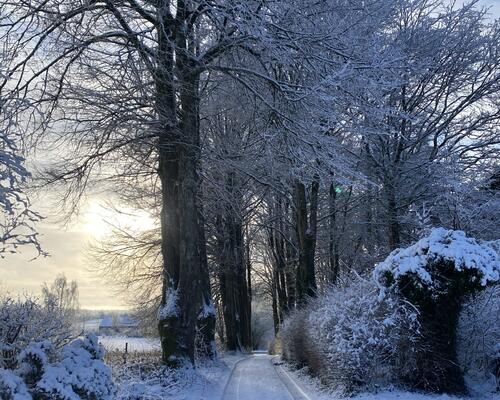 3 værelses hus i Them