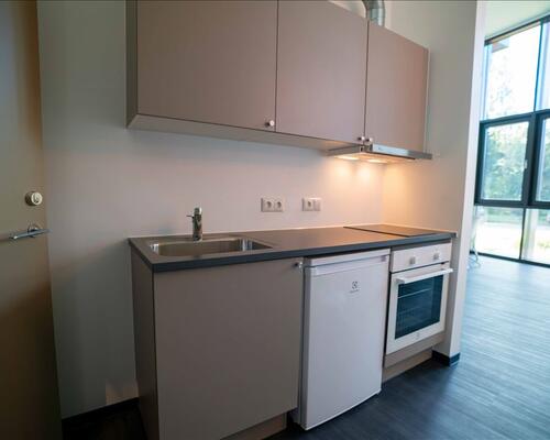 1 værelses lejlighed i Kongens Lyngby