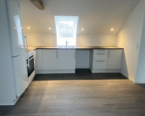 Renoveret lejlighed med stor altan.