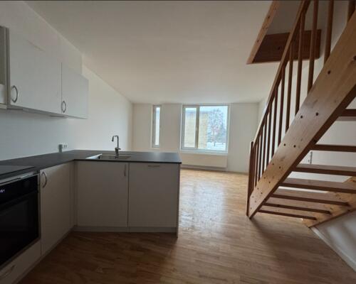 3 værelses lejlighed i Viborg