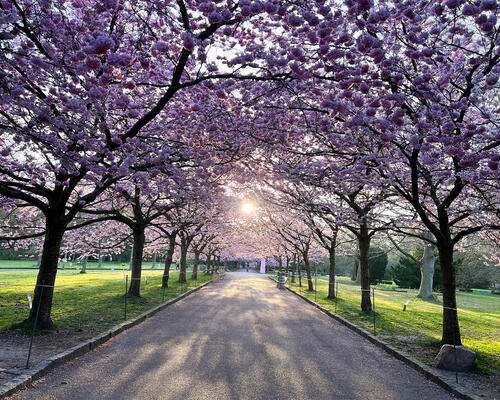 4 værelses hus i København NV