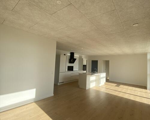 Nyt, attraktivt boligbyggeri i Arnbjerg - Brudelyset