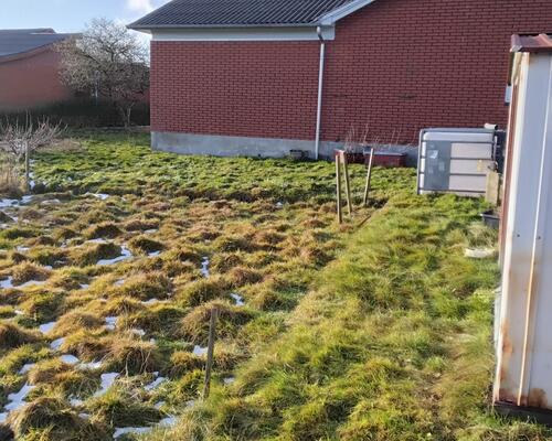 4 værelses hus i Tjele