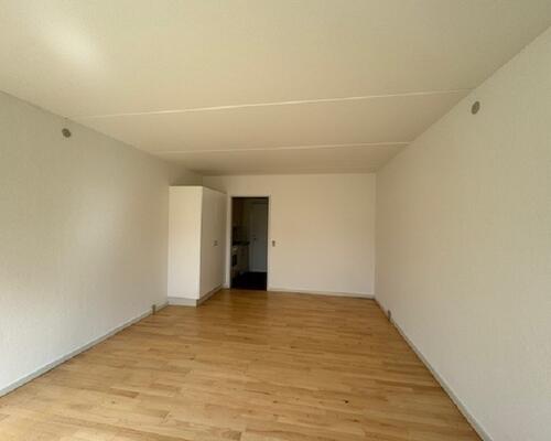 1 værelses lejlighed i Vissenbjerg