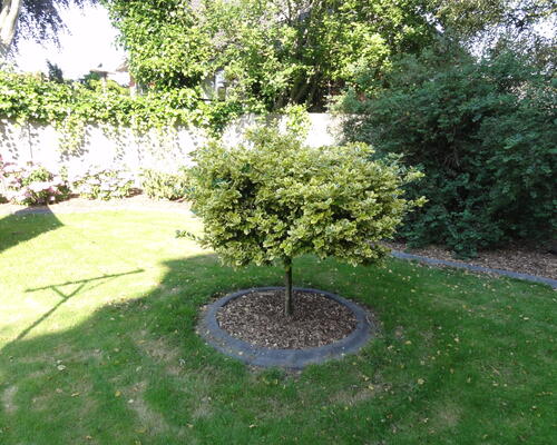 2 værelses lejlighed i Herning