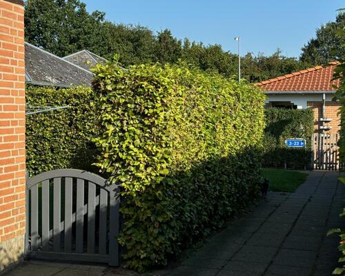 4 værelses lejlighed i Hobro