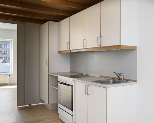 Studiebolig på havnen i Aalborg Centrum med mulighed for husdyr