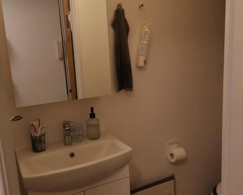 Nydelig 3. værelses lejlighed