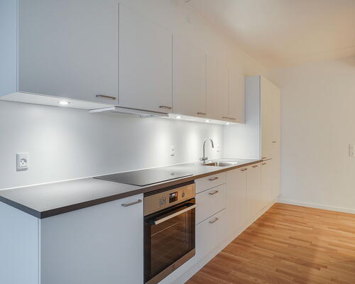 2 værelses lejlighed i Hillerød