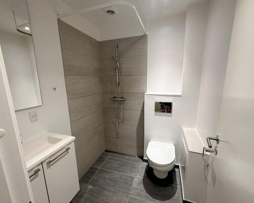 1-værelses lejlighed udlejes i Viby J