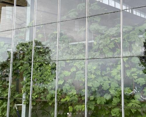 2 værelses lejlighed i Odense S