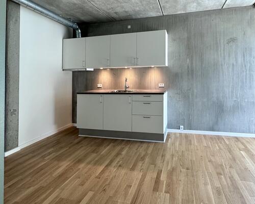 1 værelses lejlighed i Odense C