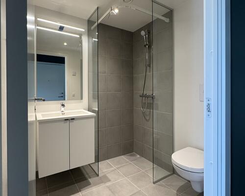 1 værelses lejlighed i Odense C