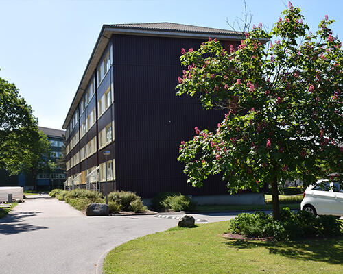 2 værelses lejlighed i Randers NV