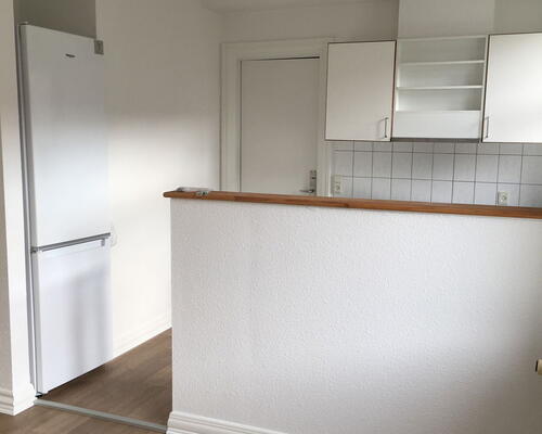 Lys 3-værelses i Aalborg C med franske døre, vaskesøjle og fælles grøn gård