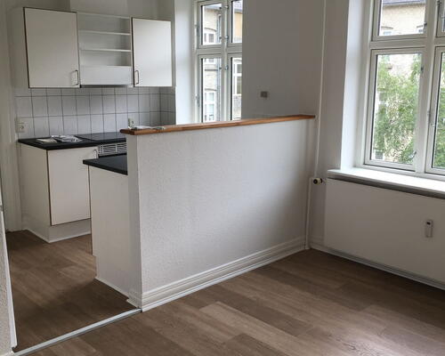 Lys 3-værelses i Aalborg C med franske døre, vaskesøjle og fælles grøn gård