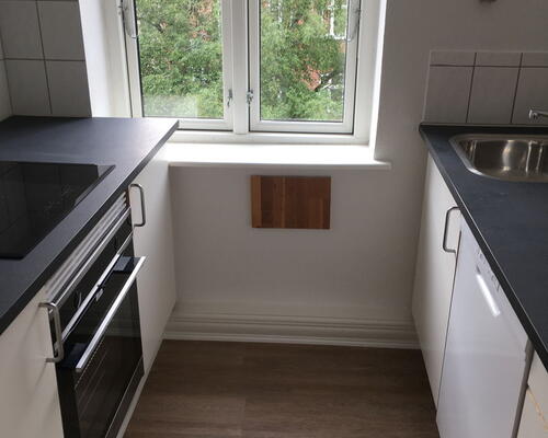 Lys 3-værelses i Aalborg C med franske døre, vaskesøjle og fælles grøn gård