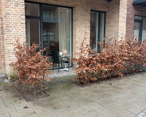 Flot 2 vær. lejlighed med stor terrasse og ekstra højt til loftet<br>