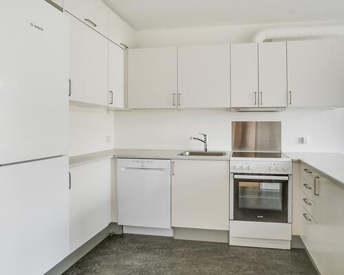 3- værelses lejlighed med plads til alle