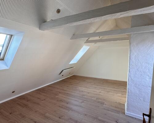 Nyrenoveret bolig med privat have og terrasse – centralt i Haderslev