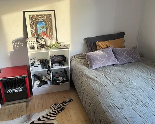 Nydelig 1. værelses lejlighed med god beliggenhed.