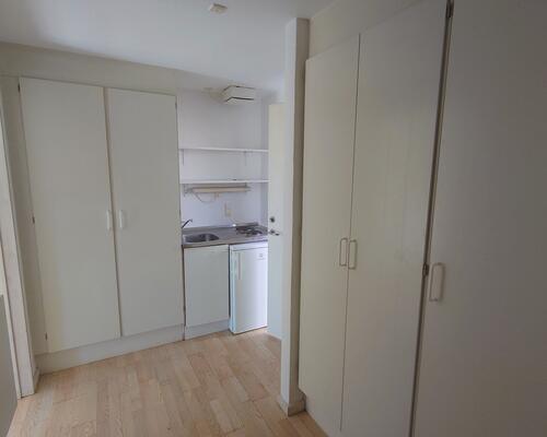 Velindrettet 1,5-værelses studiebolig nær AAU