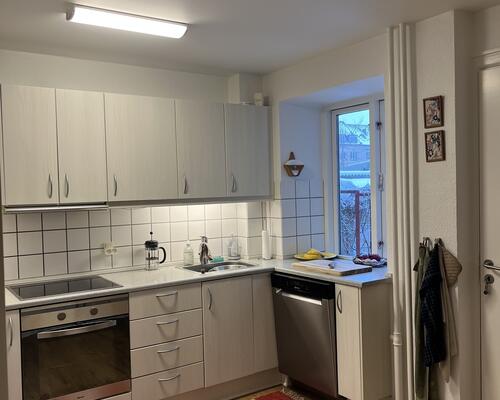 Lys og rummelig lejlighed på Skovvangsvej