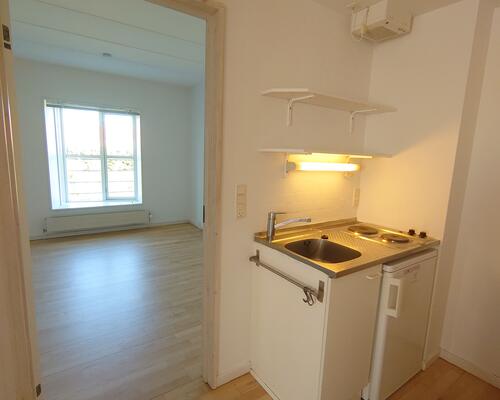 Stor studiebolig nær AAU Campus i Øst